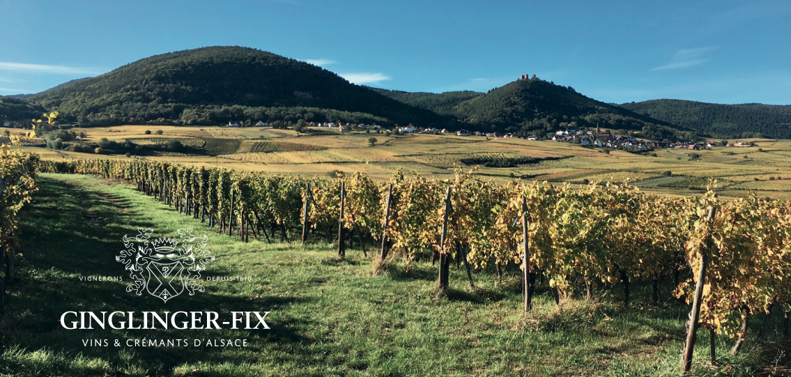 Vignoble alsacien